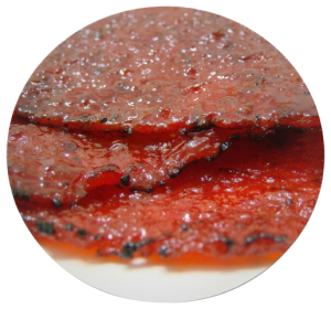Tender Minced Bakkwa png