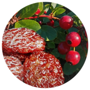 Cranberry Golden Coin Bakkwa 蔓越莓金钱肉乾